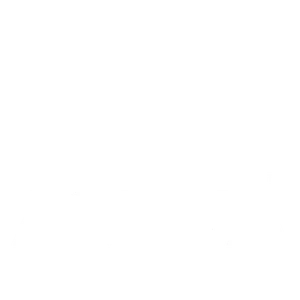 Aviva Logo
